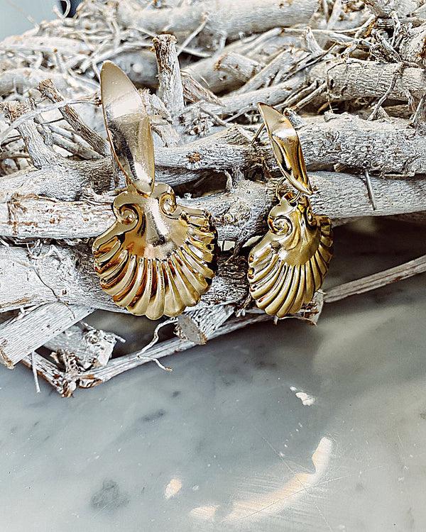 Shell scallop earrings